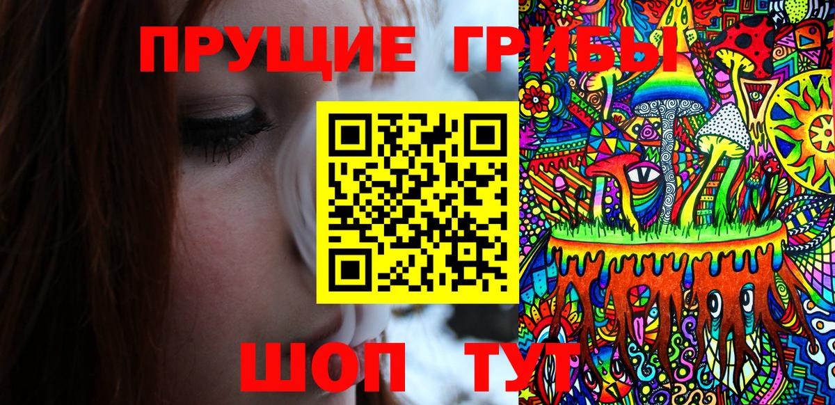 Псилоцибиновые грибы Psilocybine cubensis  Вход с VPN  Грозный 