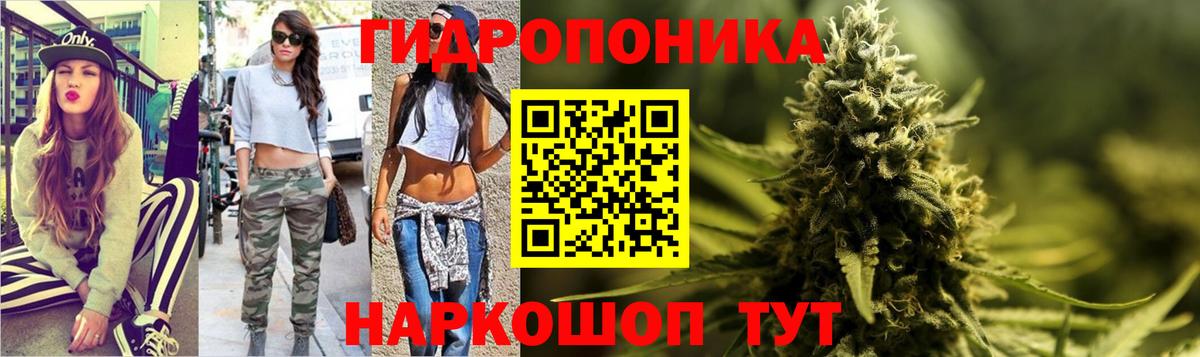 Конопля индика Грозный